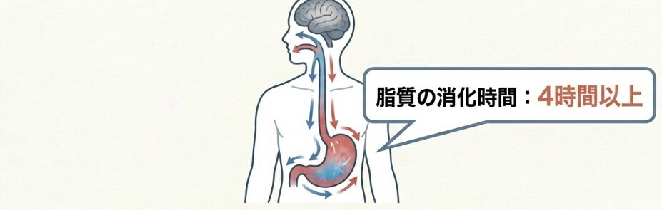 胃袋に血液を持っていかれる「消化不良」の罠