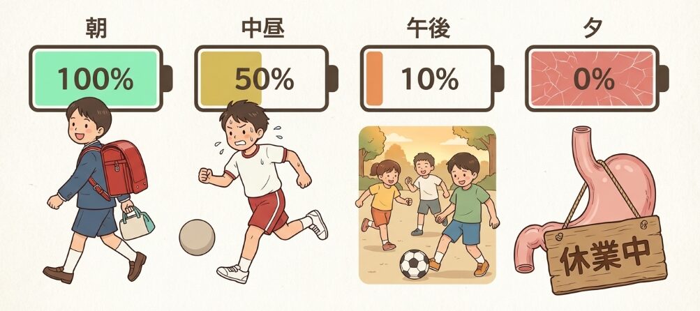 学校帰りの疲れによる胃腸機能の低下