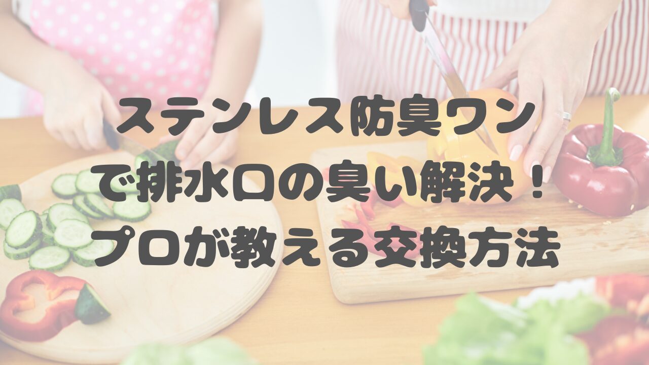 ステンレス防臭ワンで排水口の臭い解決！プロが教える交換方法