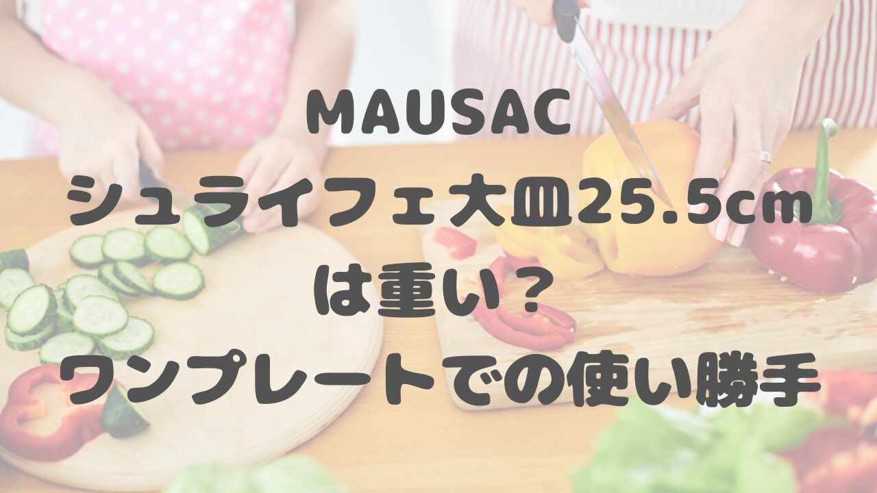 MAUSACシュライフェ大皿25.5cm