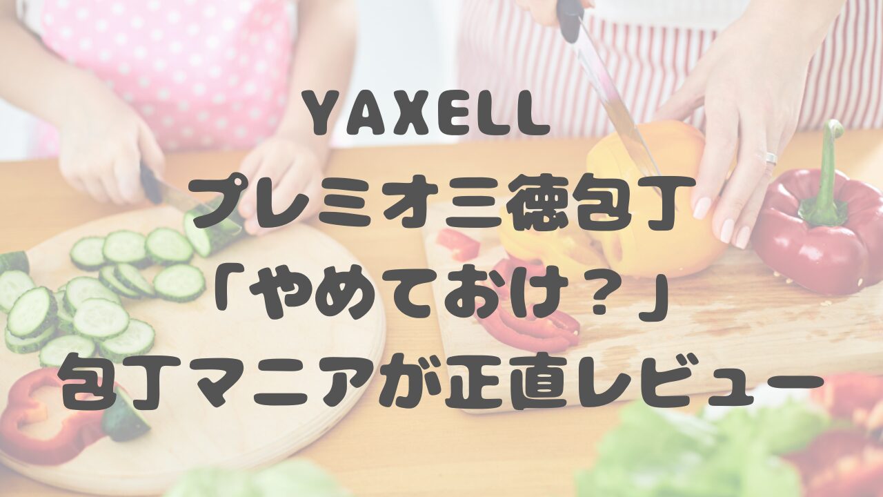 DELISTA折りたたみ シリコンスチーマー