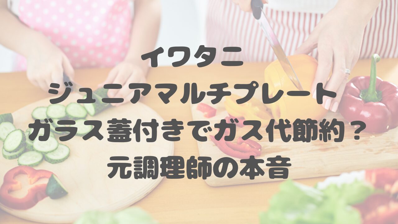 イワタニ ジュニアマルチプレート ガラス蓋付き